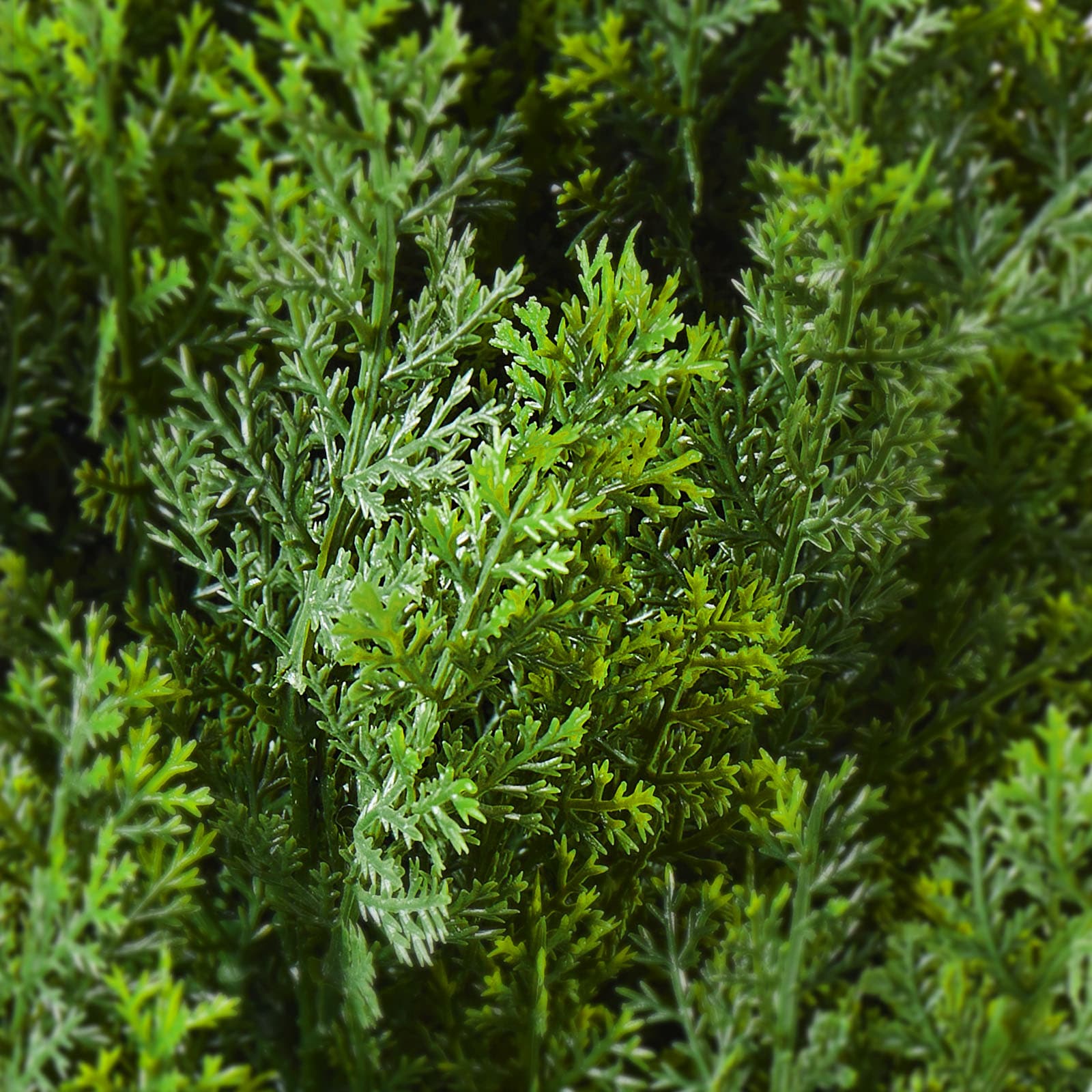 2 Pack 5' Artificial Cedar Topiary Tree Plant UV Decor In/Outdoor_voghion.com